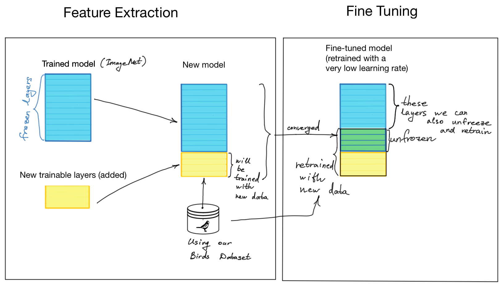 Transfer Learning: feature extraction vs fine-tuning