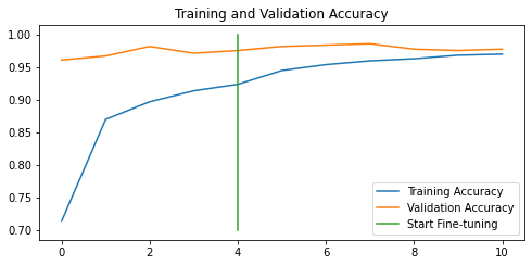 Performance of the Model 3: Fine-tuned