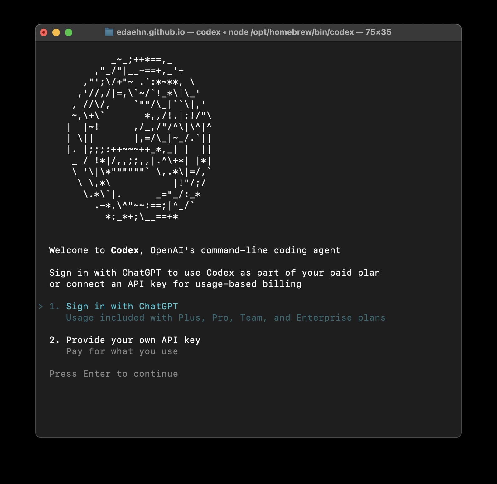Codex CLI in terminal screenshot