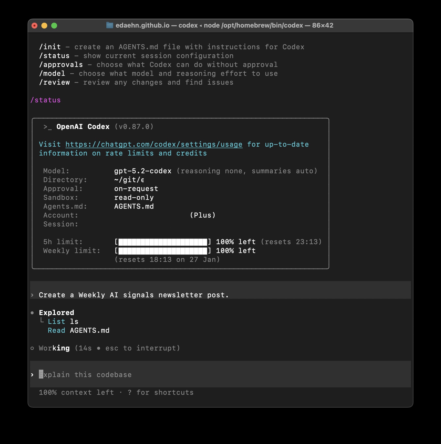 Codex CLI with project description in AGENTS.md