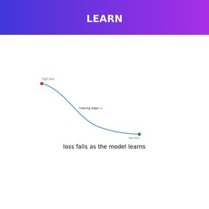 How AI Models Learn: Training Data, Fine-Tuning & Why Models Get Things Wrong